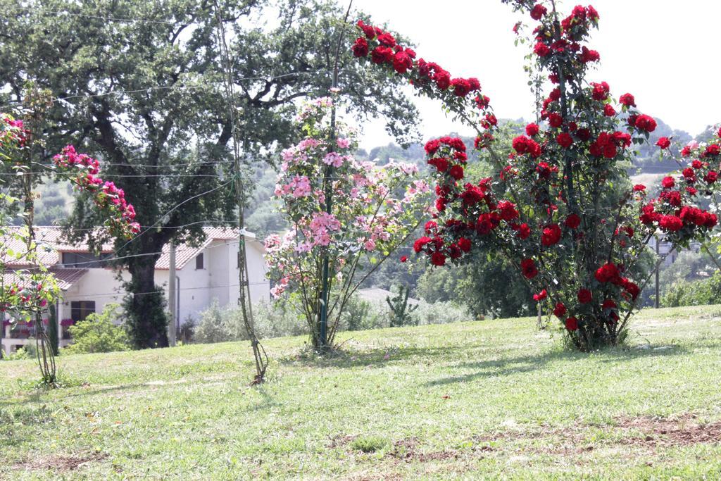 Agriturismo Nociquerceto Tarano Kültér fotó